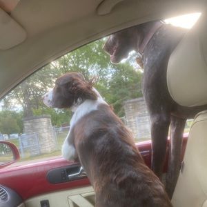 Meet your Posher, Pete